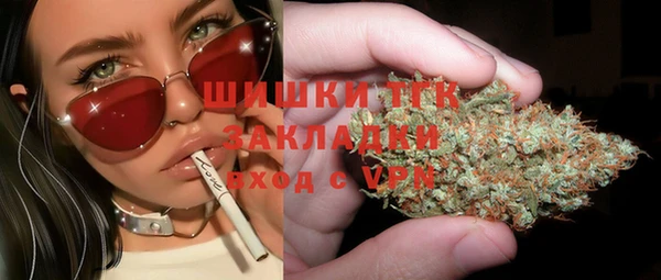 PSILOCYBIN Заводоуковск