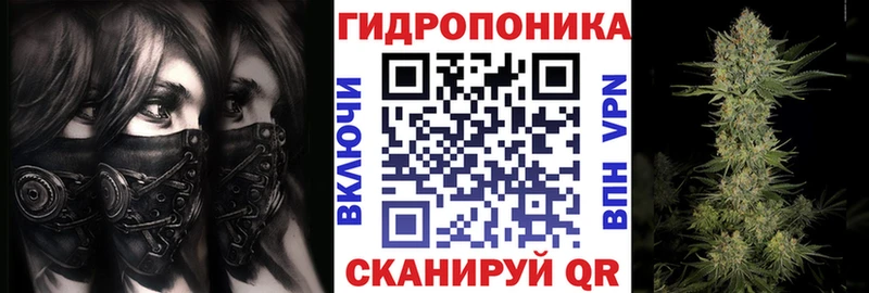 Купить где  Томмот  Шишки марихуана Ganja 